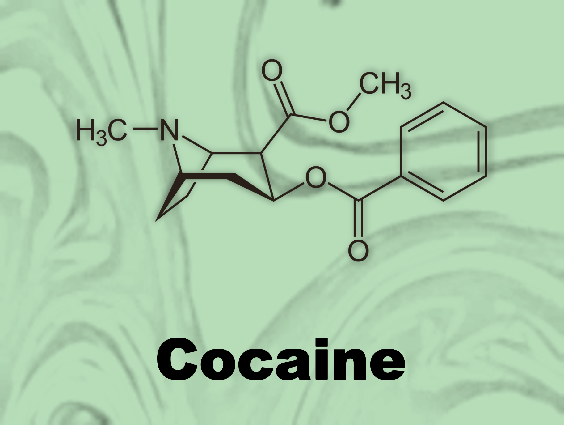 CocaineAdviceListingImageBasic